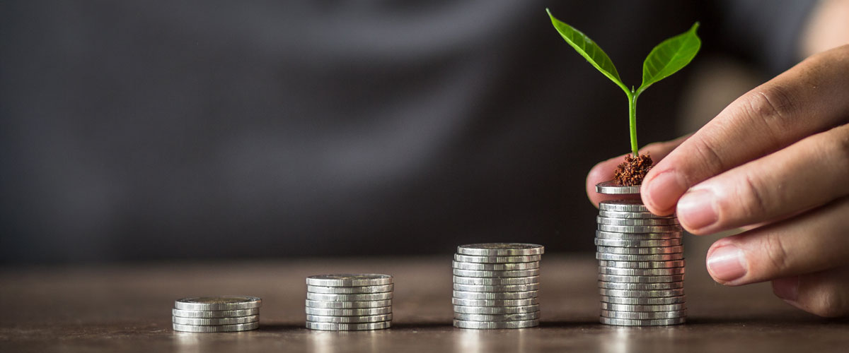 Earn, reinvest, and reward: the cycle of a successful business