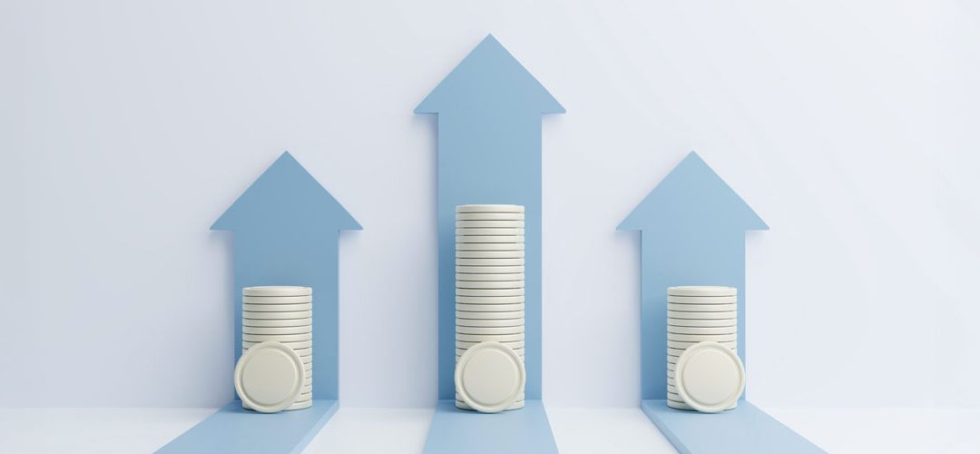 More Than Investment: How Funds and Private Equity Add Value to Companies
